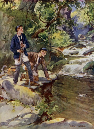 Łowienie pstrąga (kolor lito) autorstwa Archibald Bertram (after) Webb