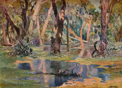 „Basen Quindanning”, ok. 1927 r. autorstwa Archibald Bertram Webb