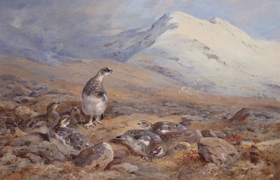Na ziemi Ptarmigan (akwarela) autorstwa Archibald Thorburn