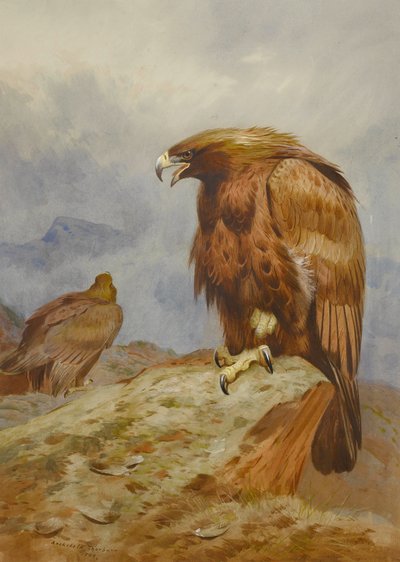 Para Złotych Orłów autorstwa Archibald Thorburn