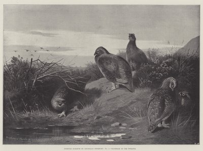 Tematy sportowe, Dwunasta rano autorstwa Archibald Thorburn