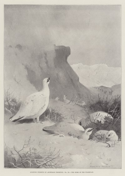 د سپورت مضامین، د Ptarmigan poli کور autorstwa Archibald Thorburn