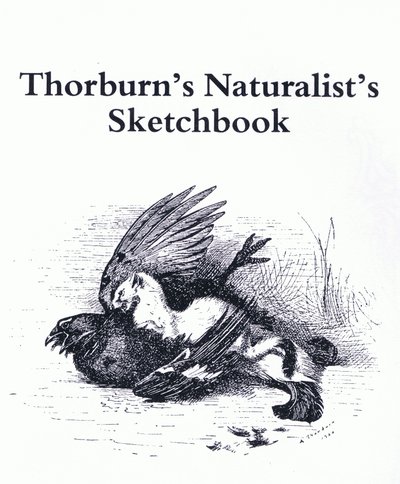 Strona tytułowa (stoat i gamebird), wyd. przez Book Club Associates autorstwa Archibald Thorburn