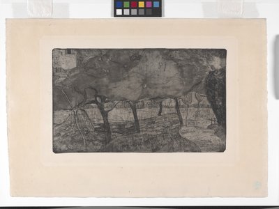 Les Pommiers (Jabłonie) (akwaforta, akwatinta i sucha igła) autorstwa Armand Séguin