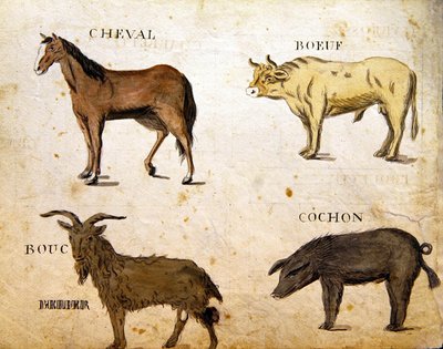 Ilustracje z "A French Alphabet Book of 1814", wyd. Charles Plante Fine Arts autorstwa Arnaud de Beauregard
