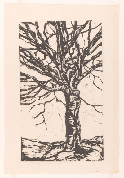 Bum na jarmuż autorstwa Arnold Pijpers (signed by artist)