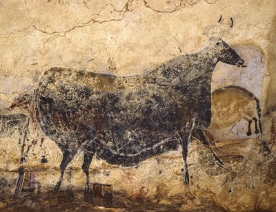 Czarna krowa. Malowidło jaskiniowe Lascaux, ok. 16.000-15.000 p.n.e. autorstwa Art of the Upper Paleolithic.