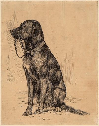 Pies Aldricha autorstwa Arthur B. Davies