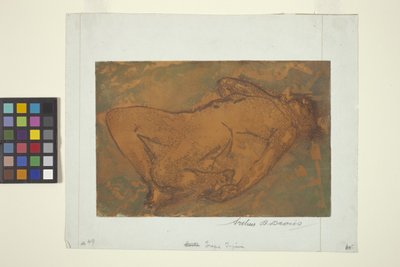 Postać Tragiczna (kolor akwatinta) autorstwa Arthur Bowen Davies