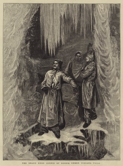 Wielki Książę Rosji Aleksy pod wodospadem Niagara autorstwa Arthur Boyd Houghton