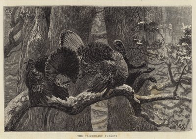 Triumfujące indyki autorstwa Arthur Boyd Houghton
