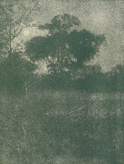Światło księżyca autorstwa Arthur E. Becher