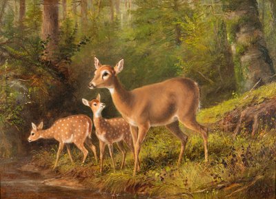 Łania i dwa jelonki autorstwa Arthur Fitzwilliam Tait