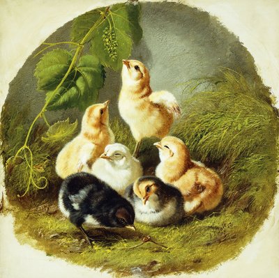 Pisklęta, 1863 autorstwa Arthur Fitzwilliam Tait