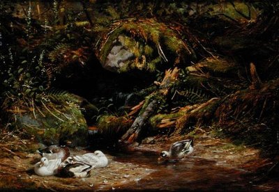 Kaczki w wiosennej głowie autorstwa Arthur Fitzwilliam Tait