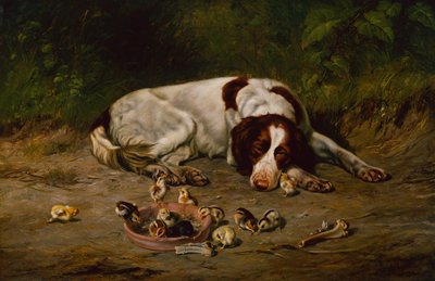 Dobry piesek autorstwa Arthur Fitzwilliam Tait