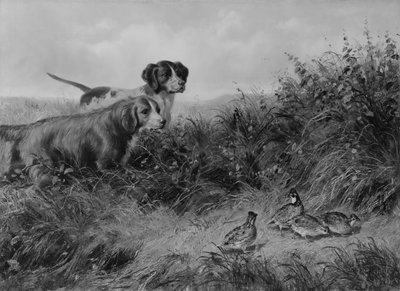 W punkcie, 1874. autorstwa Arthur Fitzwilliam Tait