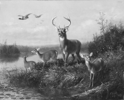 O Qui Vive, Buck i trzy łanie, 1871. autorstwa Arthur Fitzwilliam Tait
