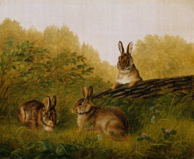 Króliki na kłodzie, 1897. autorstwa Arthur Fitzwilliam Tait