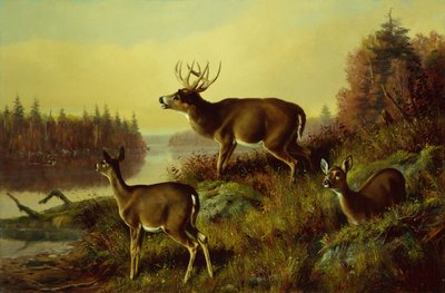 Wyzwanie autorstwa Arthur Fitzwilliam Tait