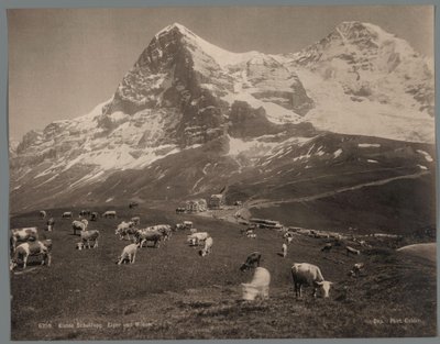 Krowy na Kleine Scheidegg w Berneńskim Oberlandzie, w tle Eiger i Mönch Kleine Scheidegg, Eiger und Moench (tytuł na obiekcie) autorstwa Arthur Gabler