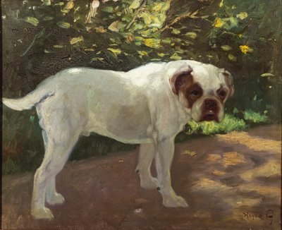 Buldog na ścieżce w ogrodzie (olej na płótnie) autorstwa Arthur Heyer