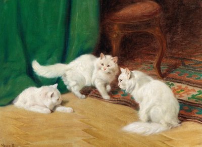 Rozmowa między kotami, autorstwa Arthur Heyer