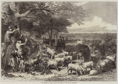 Obrona Paryża, bydła i owiec w Bois de Boulogne autorstwa Arthur Hopkins