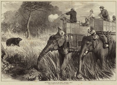 Książę Walii w Terai, strzelając do niedźwiedzia autorstwa Arthur Hopkins