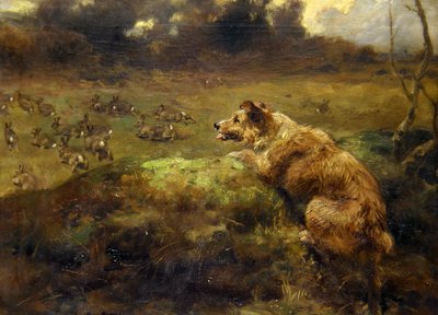 Łowca królików (olej na płótnie) autorstwa Arthur John Strutt