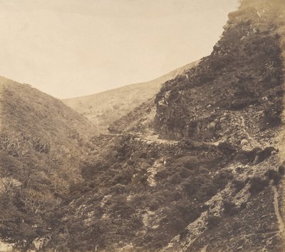 Na drodze do Watersmeet, niedaleko Lynton, North Devon, 1856. autorstwa Arthur Julius Pollock