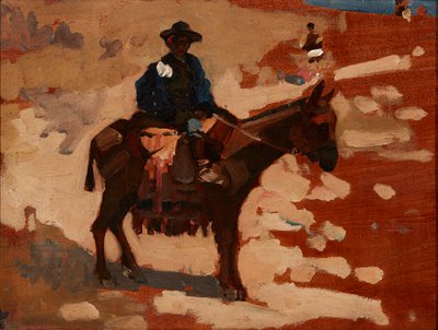 Chłopiec w Hiszpanii (olej na panelu) autorstwa Arthur Melville