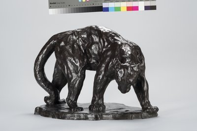 Duży ślad Puma Pachnący Wół autorstwa Arthur Putnam