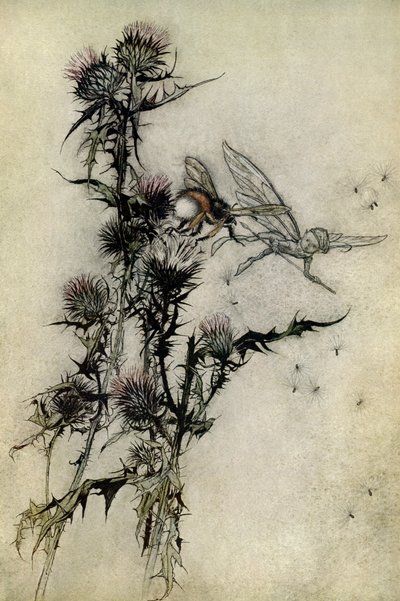 Sen nocy letniej autorstwa Arthur Rackham