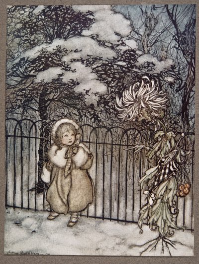Usłyszała ją chryzantema i powiedziała dosadnie: Hoity-toity, co to jest?, od Piotruś Pan w Kensington Gardens JM Barrie (1860 - 1937), wyd. 1906 autorstwa Arthur Rackham
