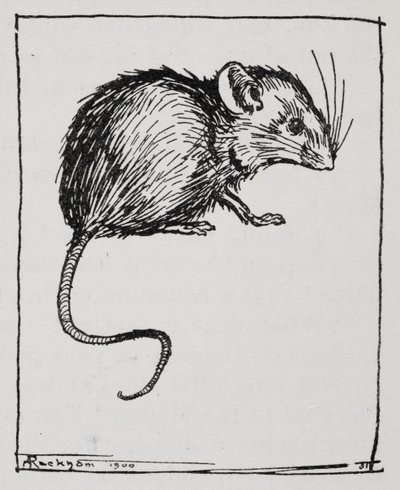 Mysz autorstwa Arthur Rackham