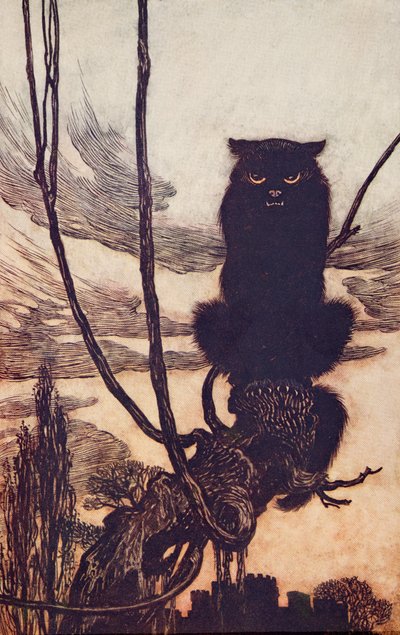 Za dnia przemieniła się w kota?, z The Fairy Tales of the Brothers Grimm, wyd. 1909 autorstwa Arthur Rackham