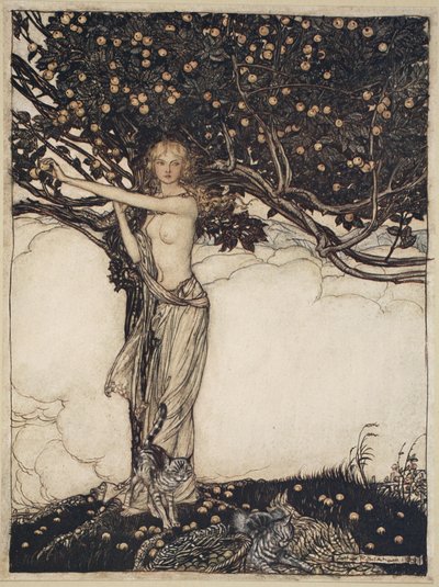 Freia, jasna, ilustracja z „Złoto Renu i Walkiria” autorstwa Arthur Rackham