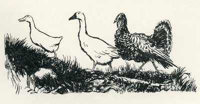Henny-Penny autorstwa Arthur Rackham