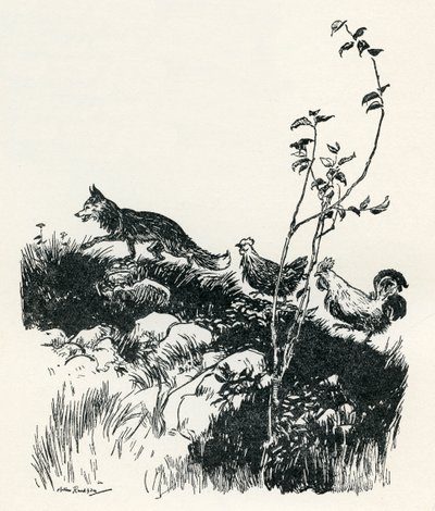 Henny-Penny autorstwa Arthur Rackham
