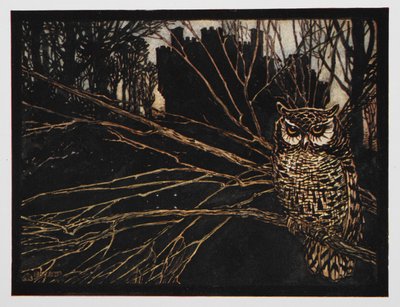 Ilustracja od Jorindy i Joringela przedstawiająca piskliwą sowę. autorstwa Arthur Rackham
