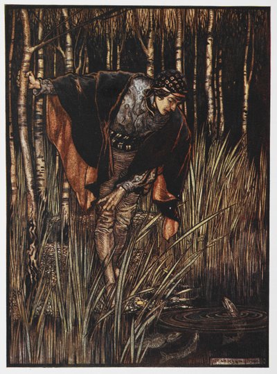 Ilustracja przedstawiająca młodzieńca nad stawem z filmu The White Snake. autorstwa Arthur Rackham