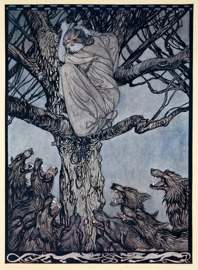Spojrzała z gniewną rozpaczą na napiętą i warczącą hordę poniżej, ilustracja z „Irish Fairy Tales” Jamesa Stephensa autorstwa Arthur Rackham