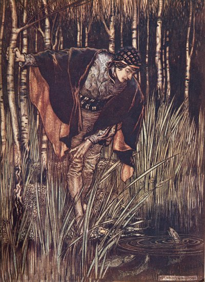 Ryby, w swej radości, wyciągnęły głowy ponad wodę i obiecały mu nagrodę, z Baśni braci Grimm, wyd. 1909 autorstwa Arthur Rackham