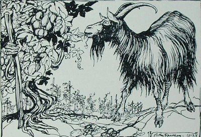Koza i winorośl, ilustracja z „Bajek Ezopa”, wydanej przez Heinemann autorstwa Arthur Rackham