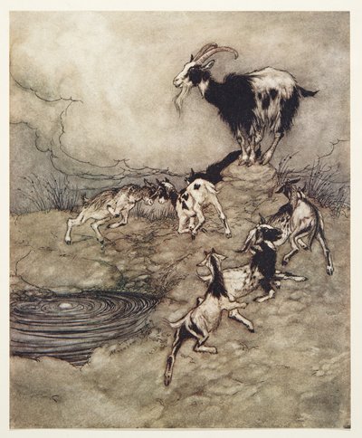 Siedem dzieciaków i ich matka podskakiwały i tańczyły wokół źródła w radości z The Fairy Tales of the Brothers Grimm, pub. 1909 autorstwa Arthur Rackham