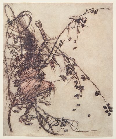 Im szybciej grał, tym wyżej musiała skakać z pubu The Fairy Tales of the Brothers Grimm. 1909 autorstwa Arthur Rackham