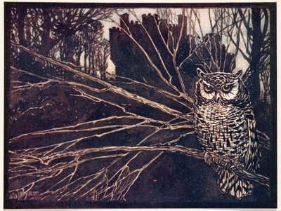 ? albo sowa piskliwa.., z Bajek braci Grimm, wyd. 1909 autorstwa Arthur Rackham