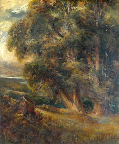 Badanie drzewa autorstwa Arthur Reginald Smith