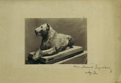 lwica autorstwa Arthur Strasser